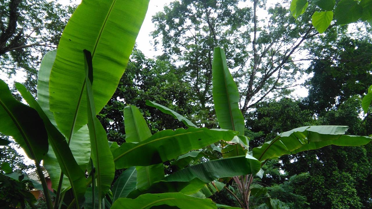 Ecopacific Lodge Santa Teresa Playa Bejuco (Guanacaste) المظهر الخارجي الصورة